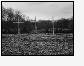AWAY3crosses0845grpRO
