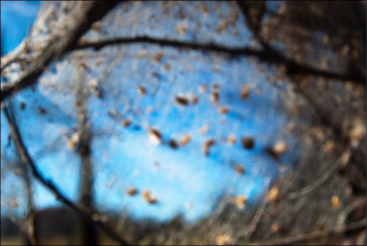 AWAYBlur0001-1
