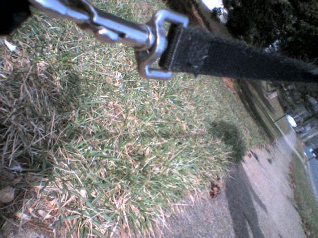 scooter4