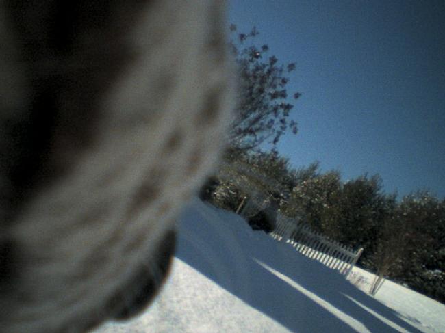 scooter6